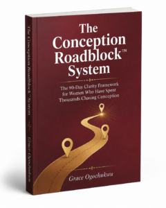 The Conception Roadblock System — PDF Guide