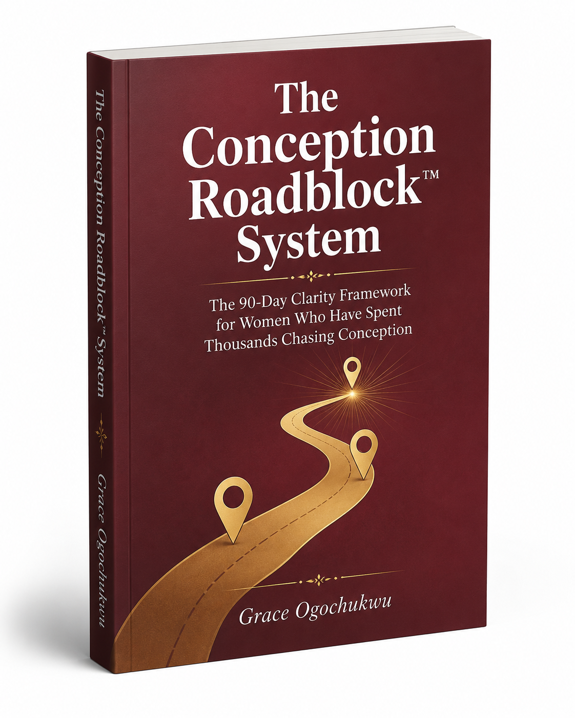 The Conception Roadblock System