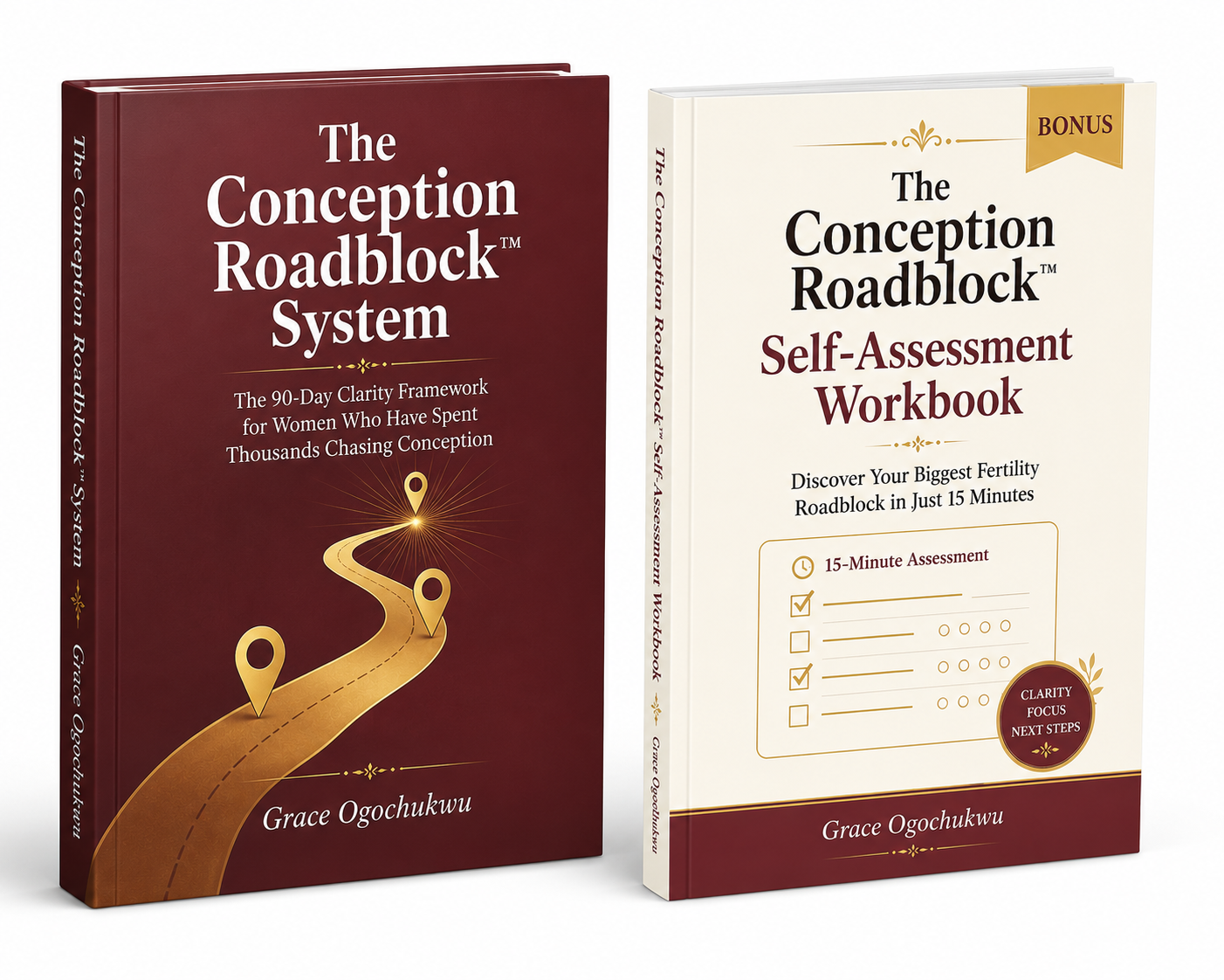 The Conception Roadblock System — Complete Bundle